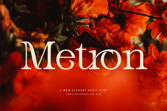 Metron Font: A Modern Serif for Digital Branding