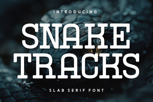 Snake Tracks Font Review for Digital Campaigns
